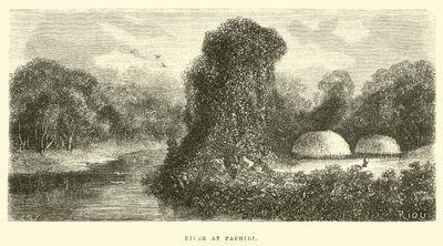 River at Pachiri by Edouard Riou